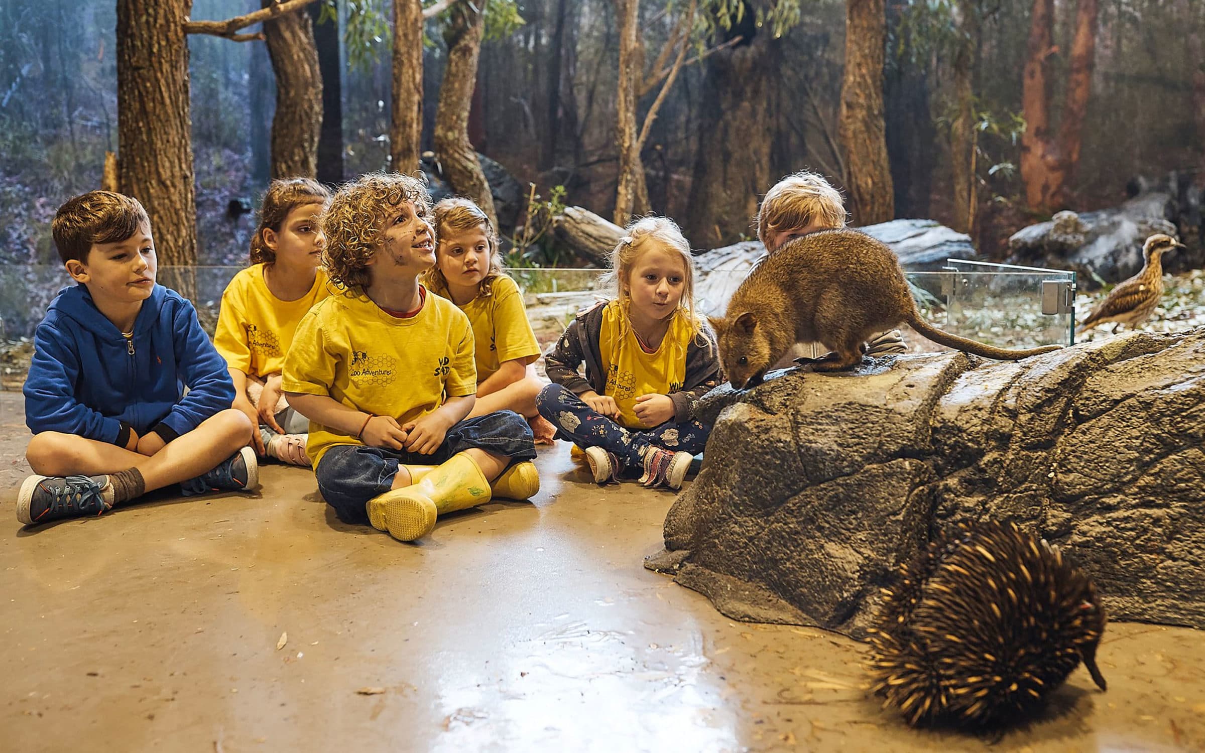 Taronga Institute of Science and Learning, 2019