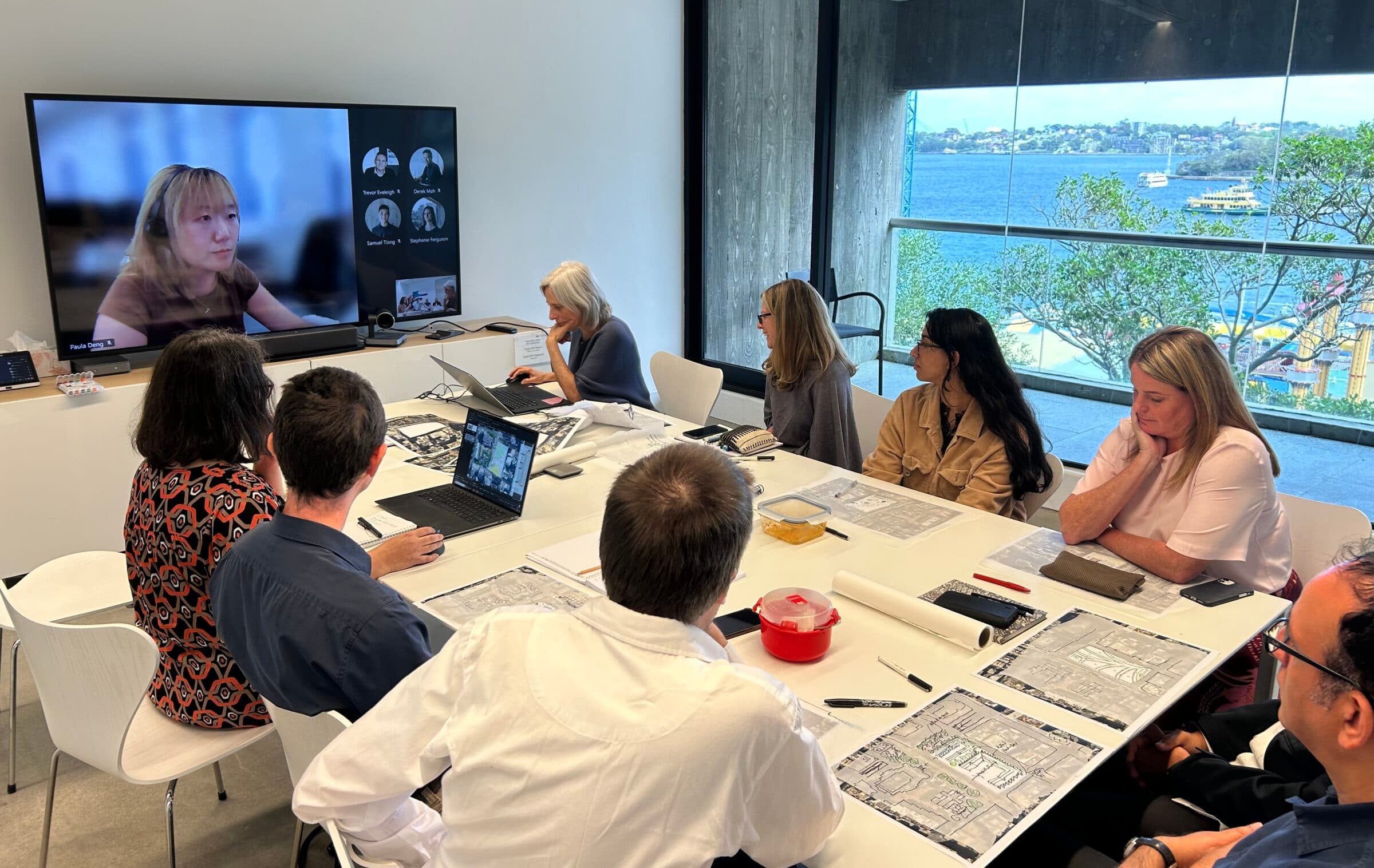 Team View, Design Matters