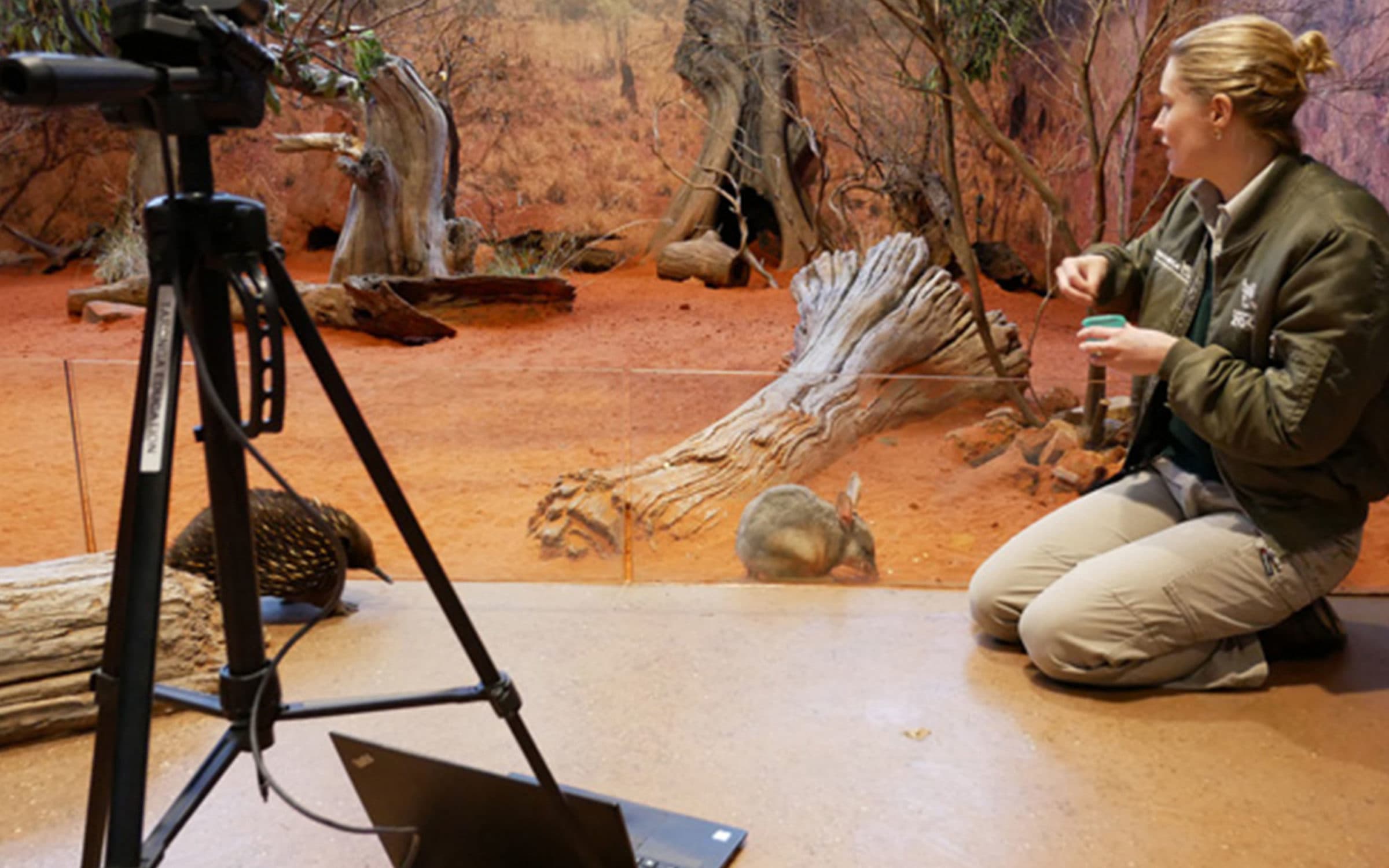 Learning Whilst in Lockdown at the Taronga 2880x1800